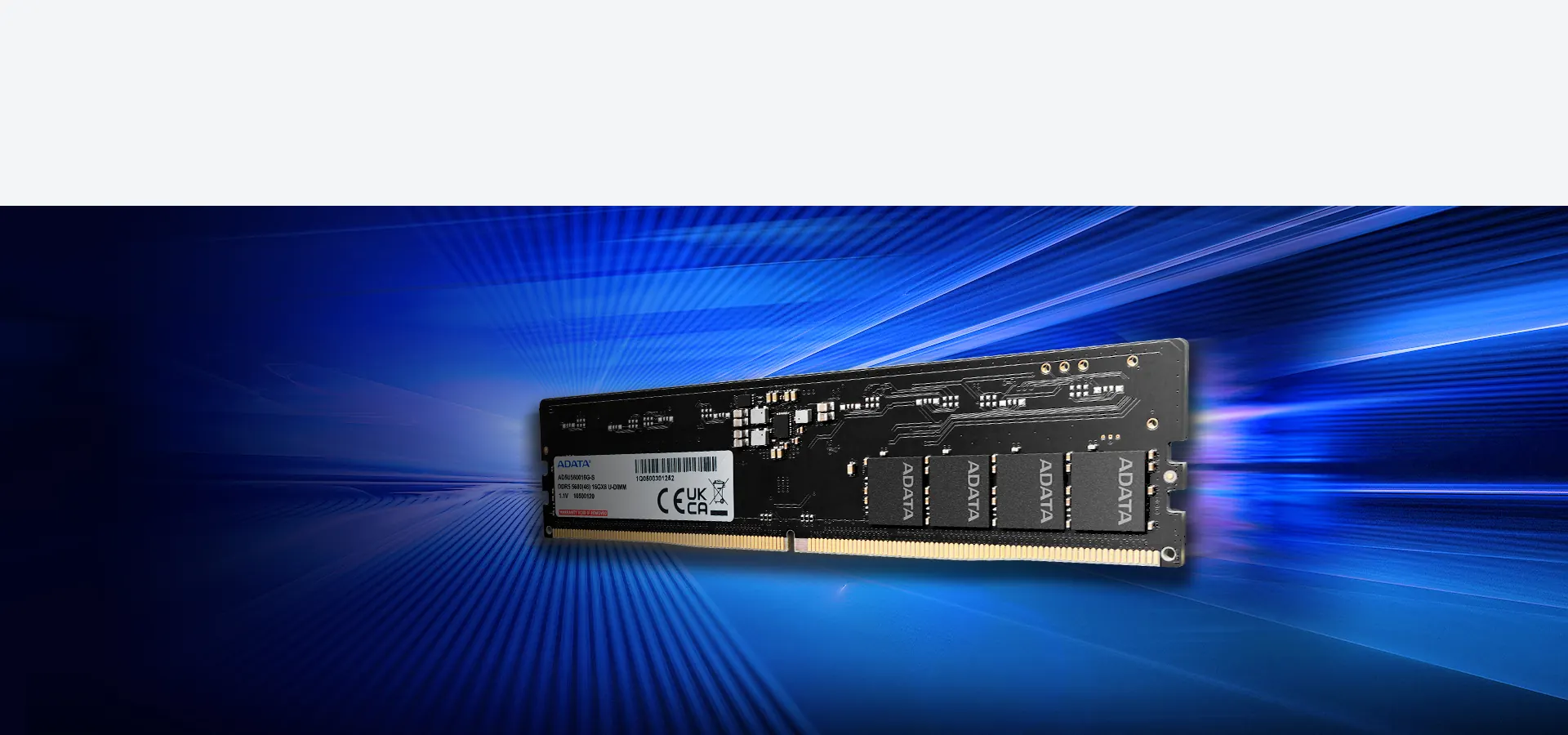 Módulo de memoria ADATA DDR5-5600 U-DIMM sobre fondo azul