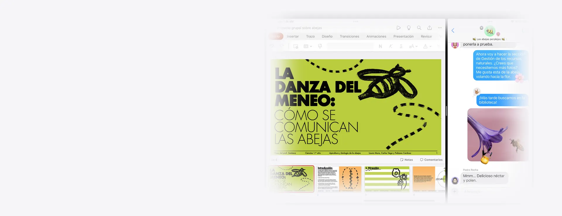 Estudiá y trabajá en equipo
