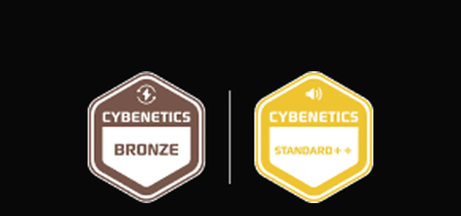 Certificación Cybenetics Bronze