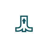 Multi-Link Operation (MLO)