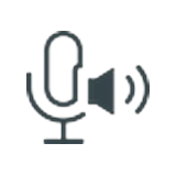 Audio bidireccional